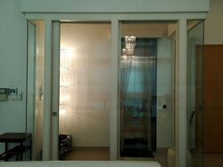 The Light @ Cairnhill (D9), Condominium #477310411
